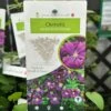 Clematis 'Etoile Violette' Climber 3Ltr Pot -Plantern Pot Sales 30198710