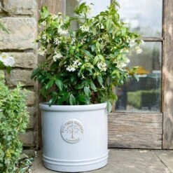 Woodlodge 38cm White / Cream Glazed Heritage Cylinder Pot -Plantern Pot Sales 5021346424430