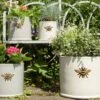 Woodlodge 29cm Wisteria Bee Cylinder Planter -Plantern Pot Sales 5021346427110 fa3cfc22 6889 45d8 b39f c047370bf042