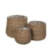Woodlodge Sencha Wicker Baskets -Plantern Pot Sales 5021346444162