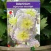 Delphinium 'Moonlight' 3Ltr Pot -Plantern Pot Sales 5021768046050