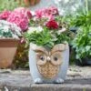 Flamboya 23cmWoodstone Owl Planter 1 Flamboya 23cmWoodstone Owl Planter -Plantern Pot Sales 5050642048118