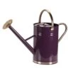 Smart Garden 9 Litre Violet Metal Watering Can -Plantern Pot Sales 5050642069991 bb1d1b4b 5c00 4767 bfda a5c5e02a4125