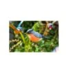 La Hacienda Bullfinch Stake -Plantern Pot Sales 5055025558987 9ee64364 43a3 4ea9 84d8 9dcc59aa6b76