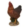 Vivid Arts 28cm Summer Hen - XRL-CHKN-D -Plantern Pot Sales 5055195014733
