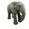 Vivid Arts 55cm Elephant Resin - XRL-ELPH-A -Plantern Pot Sales 5055195016249