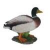 Vivid Arts 32cm Mallard Duck - XRL-MLLD-A -Plantern Pot Sales 5055195016713