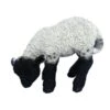 Vivid Arts 31cm Black / White Standing Lamb - XRL-BLLB-D -Plantern Pot Sales 5055195017697