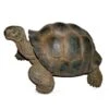 Vivid Arts 27cm Giant Tortoise -XRL-GTRT-D -Plantern Pot Sales 5055195018816