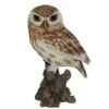 Vivid Arts 22cm Little Owl - XRL-LTWL-D -Plantern Pot Sales 5055195019981 6c6be2ff 1f1b 44e8 9a32 cdc02d0af566