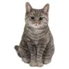 Vivid Arts 30cm Tabby Sitting Cat - XRL-SC33-B 2 Vivid Arts 30cm Tabby Sitting Cat - XRL-SC33-B -Plantern Pot Sales 5055195020222