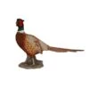 Vivid Arts 52cm Pheasant - XRL-NT04 2 Vivid Arts 52cm Pheasant - XRL-NT04 -Plantern Pot Sales 5055195020789 7ad3e4d2 7c33 4dad b878 58606602649f