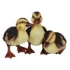 Vivid Arts 23cm Standing Duckling Group - NF-DK26-D -Plantern Pot Sales 5055195023674