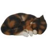 Vivid Arts 27cm Sleeping Tortoiseshell Cat - XRL-ZC32-B -Plantern Pot Sales 5055195025036