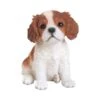 Vivid Arts 16cm King Charles Puppy Pet Pals - PP-KING-F -Plantern Pot Sales 5055195025111
