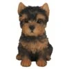 Vivid Arts 16cm Yorkshire Terrier Puppy Pet Pals - PP-Y -Plantern Pot Sales 5055195025302