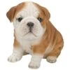 Vivid Arts 19cm Bulldog Puppy Pet Pals - PP-BDOG-F -Plantern Pot Sales 5055195025319