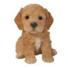 Vivid Arts 16cm Pet Pals Brown Cockapoo Puppy - PP-CKP5 -Plantern Pot Sales 5055195025593