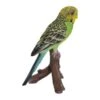 Vivid Arts 16cm Green Budgerigar Pet Pal - PP-BDG4-F -Plantern Pot Sales 5055195025753