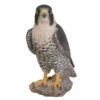Vivid Arts 25cm Peregrine Falcon - XRL-PFAL-B -Plantern Pot Sales 5055195025807