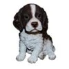 Vivid Arts 16cm Pet Pals Springer Spaniel - PP-SPSP-F 1 Vivid Arts 16cm Pet Pals Springer Spaniel - PP-SPSP-F -Plantern Pot Sales 5055195027306