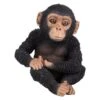 Vivid Arts 14cm Pet Pals Sitting Baby Chimp - PZ-CHM3-F -Plantern Pot Sales 5055195030498