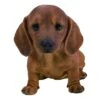 Vivid Arts 20cm Brown Dachshund Puppy -Plantern Pot Sales 5055195035523