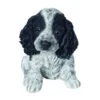 Vivid Arts Black & White Cocker Spaniel Puppy - PP-CKB -Plantern Pot Sales 5055195036759