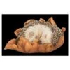 Vivid Arts Baby Hedgehog Sleeping On Leaf XRL-HH09-F -Plantern Pot Sales 5055195037596