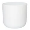 Ivyline 26cm White Lisbon Planter 1 Ivyline 26cm White Lisbon Planter -Plantern Pot Sales 5055352842261 41bae334 94d4 4f2e 9369 0149da4f2e87