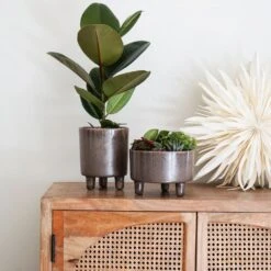 Ivyline 19cm Mocha Pisa Bowl Indoor Houseplant Pot -Plantern Pot Sales 5055352850235 3