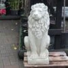 The Stone Studio Lion Looking Right -Plantern Pot Sales 5060044990106