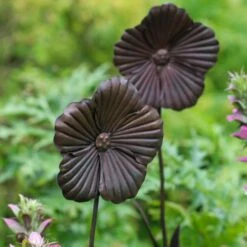 Wilstone 127cm Iron Poppy Flower Garden -Plantern Pot Sales 5060345971767 4