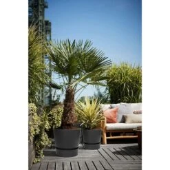 Elho 25cm Living Black Greenville Round Planter -Plantern Pot Sales 8711904332334 5