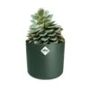 Elho 25cm Leaf Green B.For Soft Round Pot -Plantern Pot Sales 8711904494551 c98b32dd edd0 40ef acf0 4f28152f3877