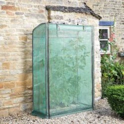 Smart Garden Tomato Grow Zone -Plantern Pot Sales grozone tomato growhouse lifestyle 2